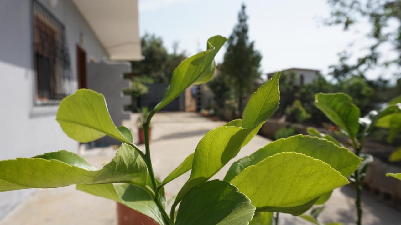 Markev Apartments Vlorë Extérieur photo